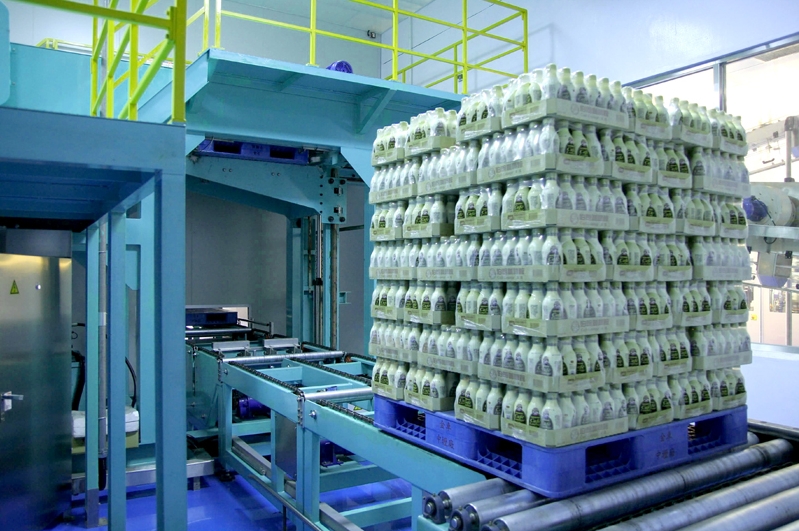 auto high level palletizer